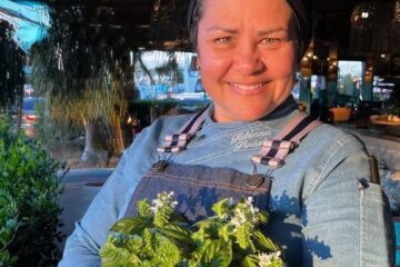 Sallva: O Delicioso Mundo da Lagosta