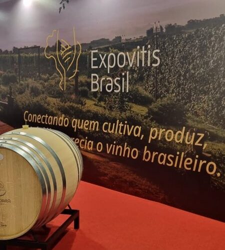 Vinhos em Foco: Expovitis 2026 Promete Surpresas e Inovações