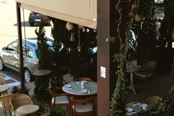 Colheitas do Brasil: um panorama das safras atuais